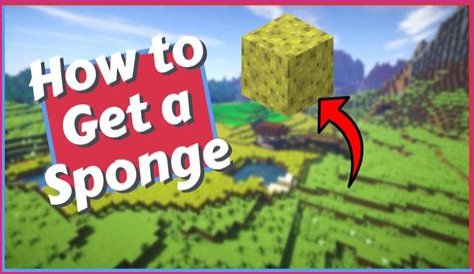How to get a sponge in Minecraft